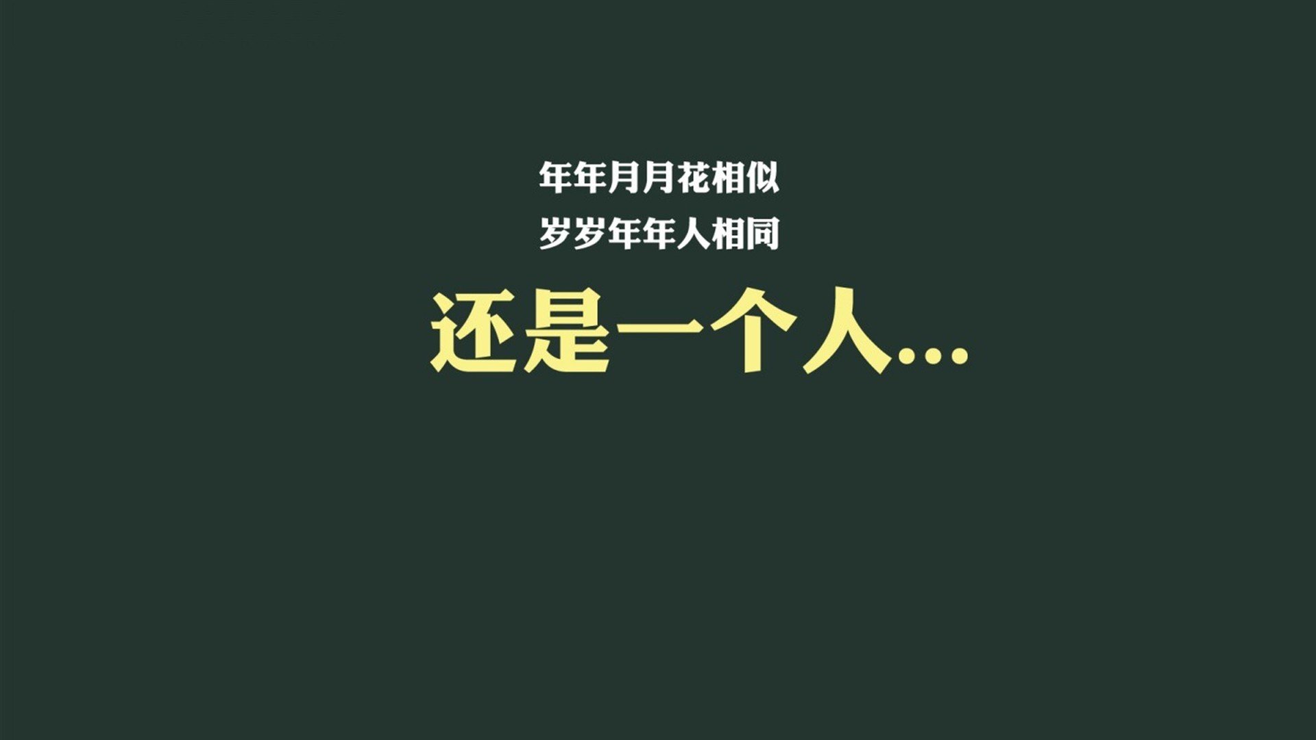 开云官网-世界柔道大师赛：技术与力量的竞逐，柔道世界冠军--daria bilodid