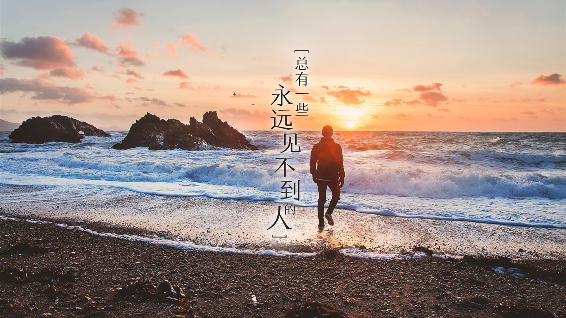 足球相关专业高职招生人数持续上升，足球专业高考