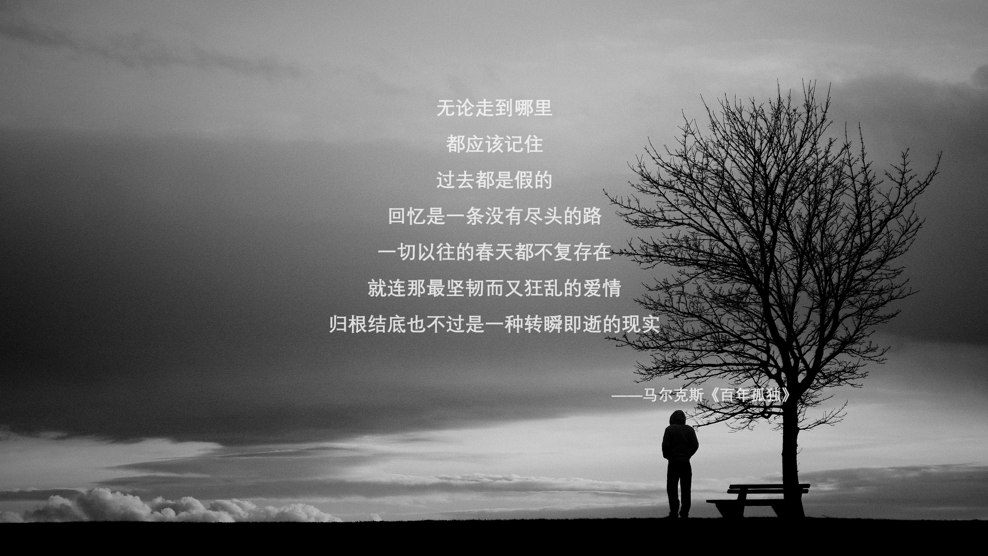 轻量化材料助力提升赛车速度,汽车轻量化车身新材料及其应用技术