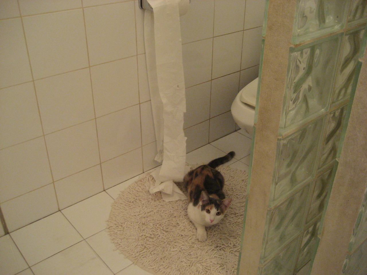 逆风而飞:那些用无限信念改变命运的战队,逆风而行更适合飞翔