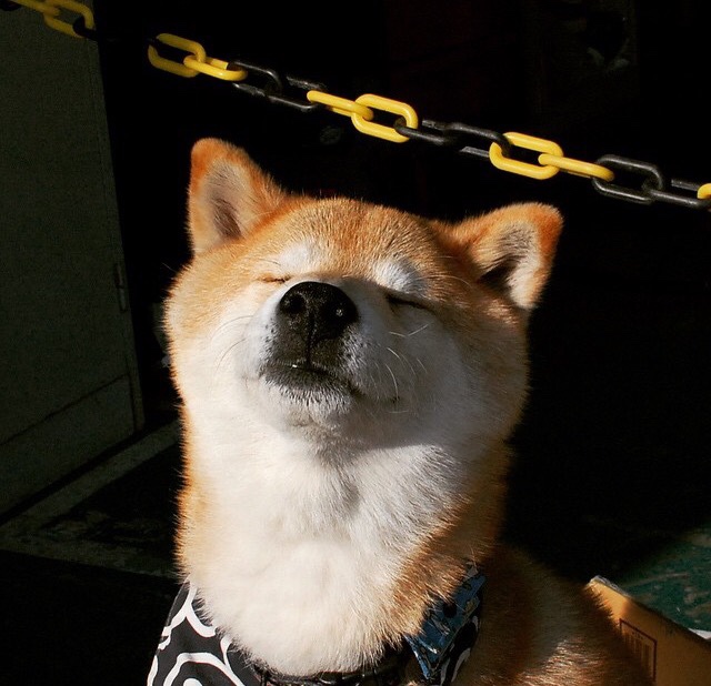 LCK明星选手国际赛表现,lckchovy选手