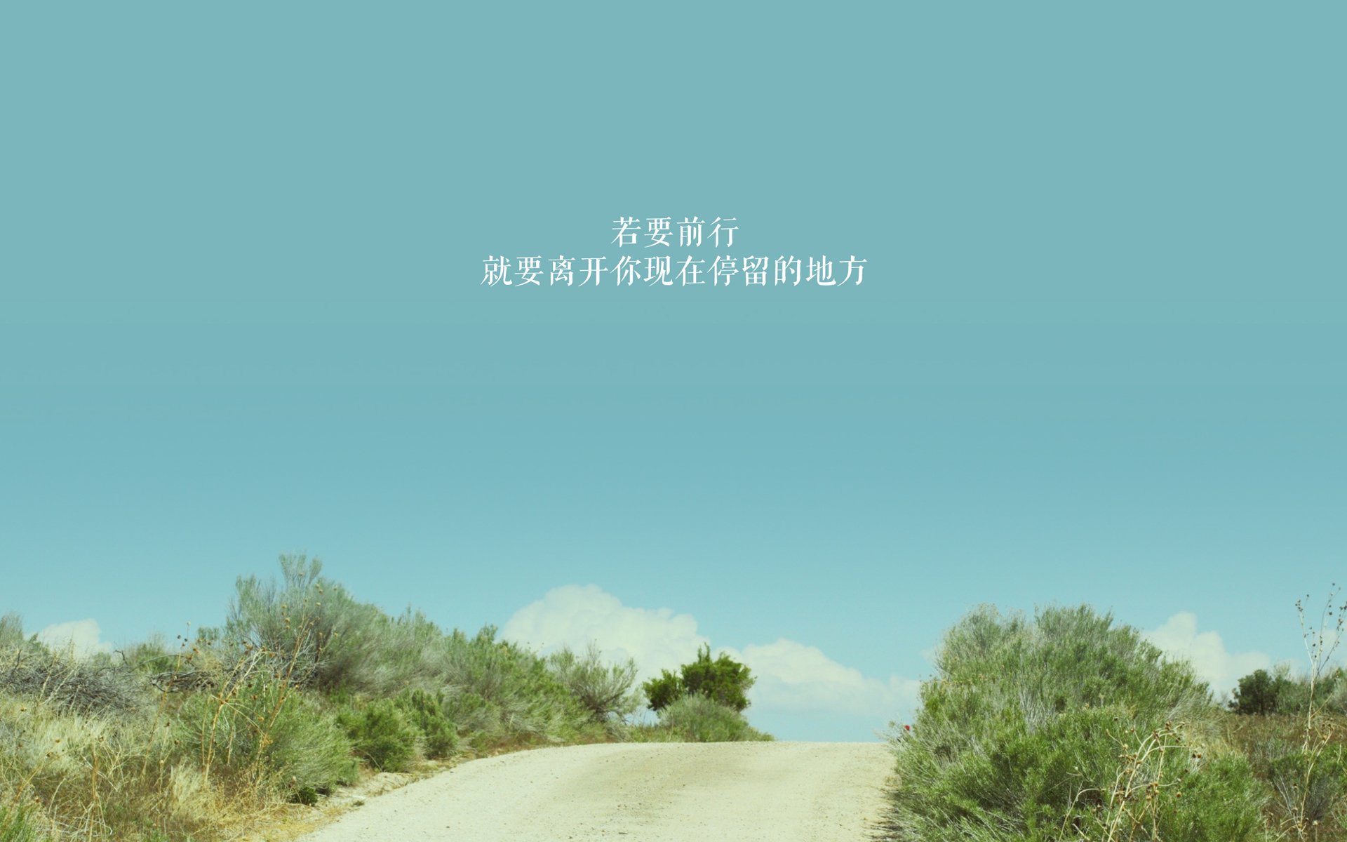 上海申花客场表现出色,成功击败对手,上海申花战绩