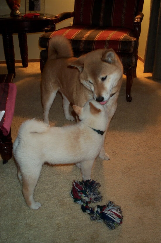 中国足球的球迷互动平台建设,中国的足球迷现在真的感到很迷茫