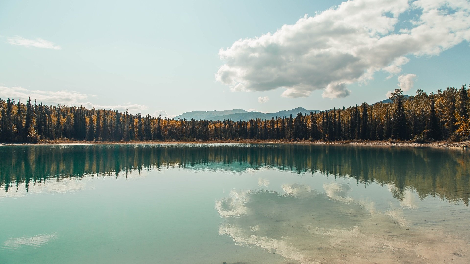 开云体育官网-切尔西主场战平曼联，保住前四位置，切尔西vs曼联预测分析