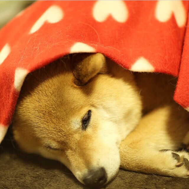 国足边路协作增强,战术宽度更足,国足边锋