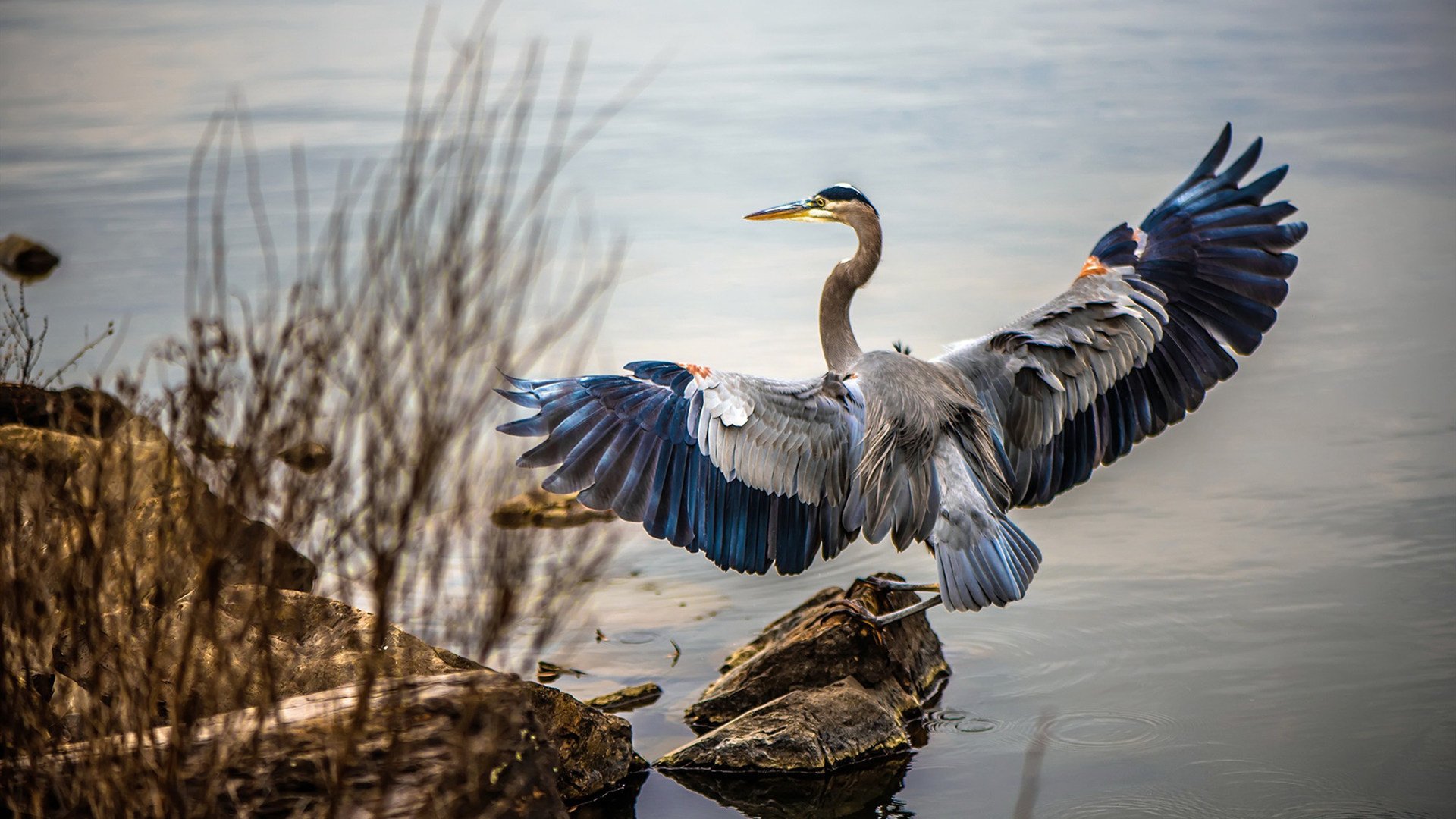 多特蒙德主帅谈未来,球队将进行全面调整,多特蒙德球员介绍