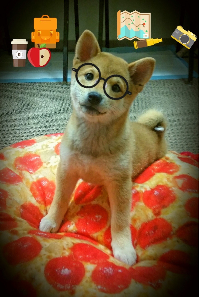 巴朗加国王比赛节奏掌控出色,巴朗加国王比赛节奏掌控出色的球员