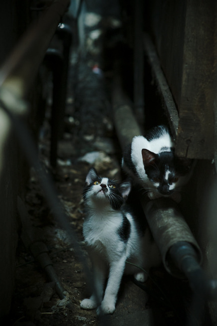 Kysports-广州队士气高涨，毫不弱于对手实力，广州队比赛集锦