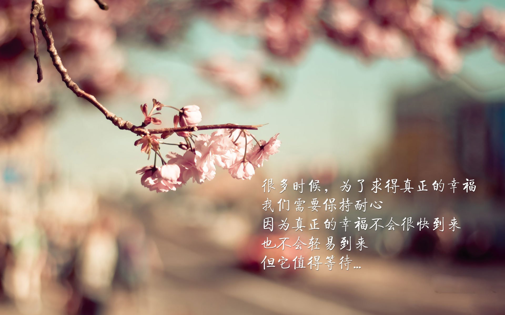 德累斯顿矿工雄心勃勃,决心赢得久远荣耀,德累斯顿介绍