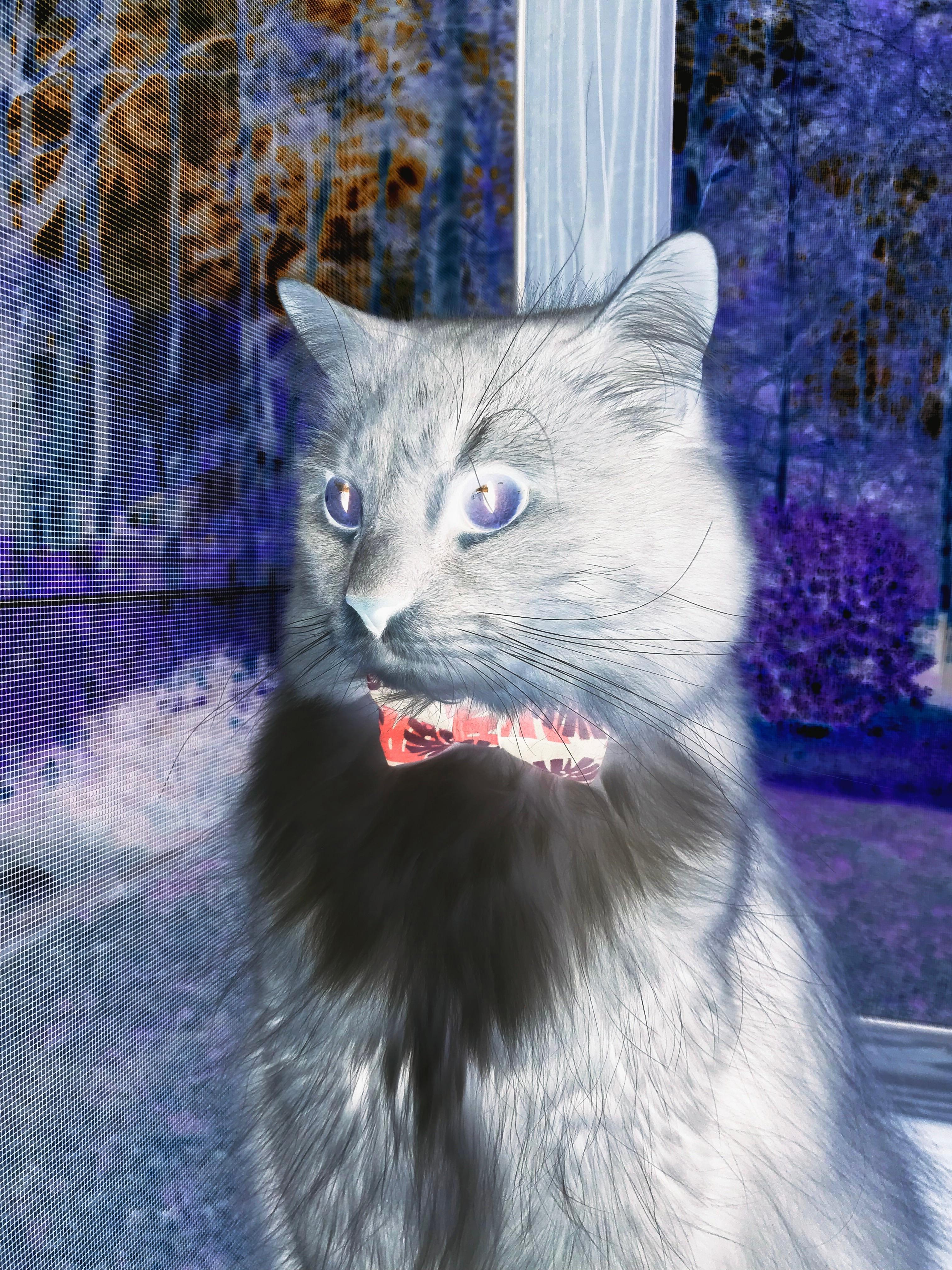 开云体育APP下载-意大利选手状态火爆，准备挑战德国，意大利队淘汰赛