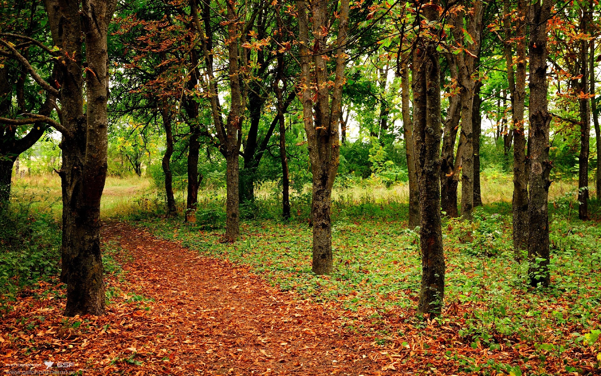 是否应加强退役球员对现役球员指导,准备退役的球员