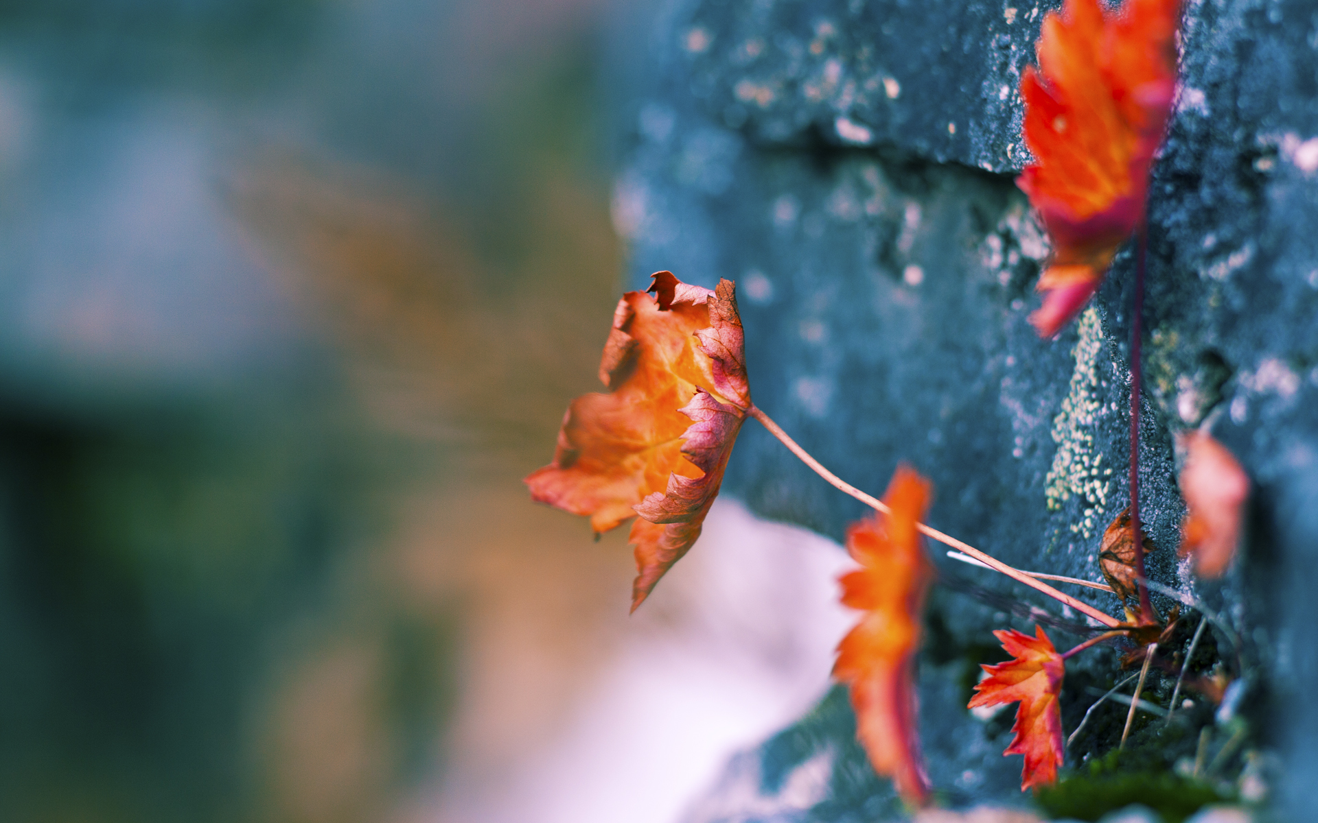 意甲球队利用大数据辅助进攻战术优化实践,足球意大利数据