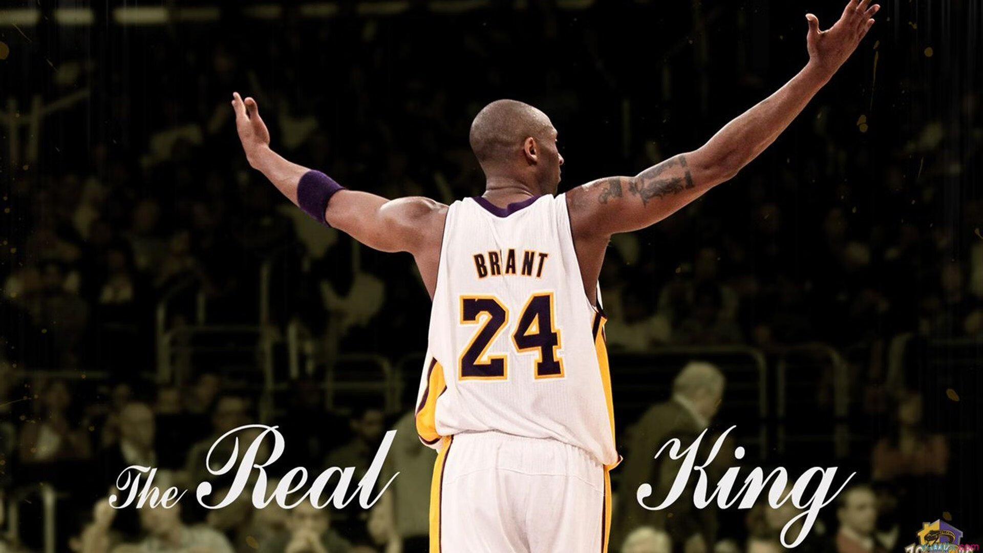 -“自由搏击英雄集结，四川省体育馆上演极限对决”