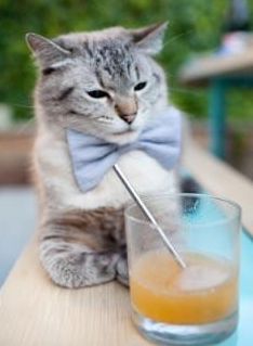 中国男篮通过实战训练提升应变能力,中国男篮体能训练