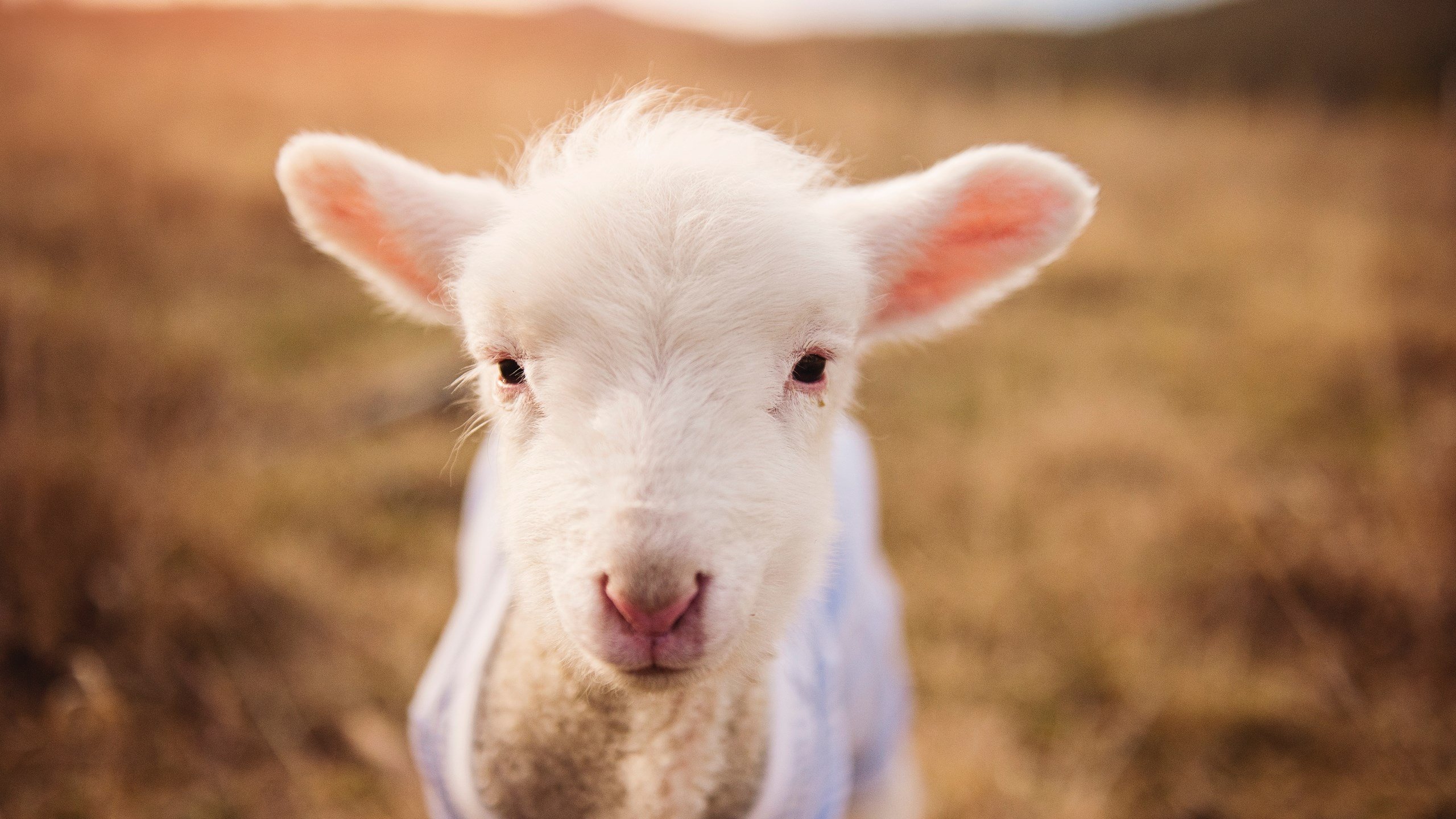 中超联赛U23国足迎战 球员心理备受考验,2021中超u23规则