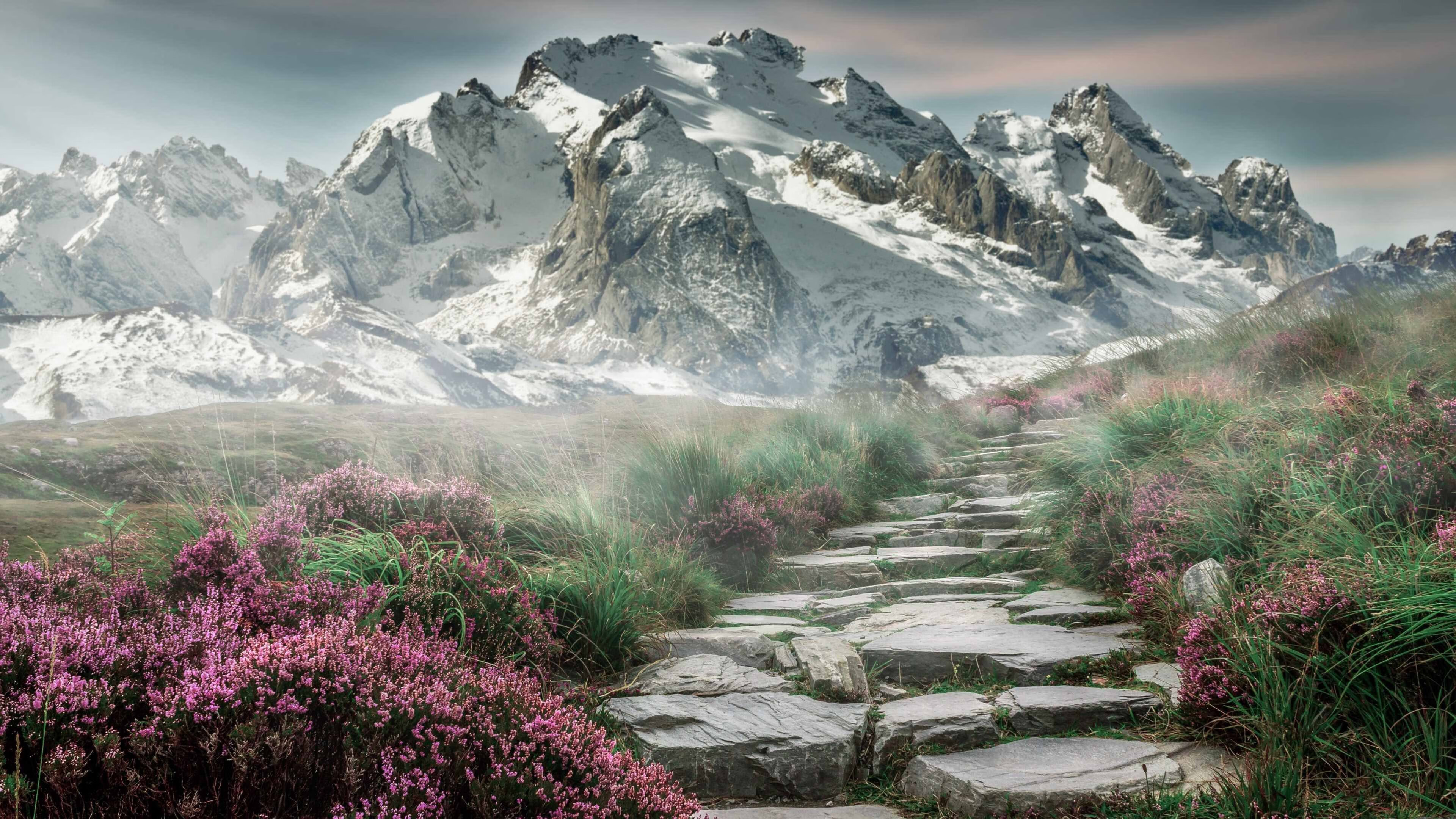 中国选手在国际篮球技巧赛斩获银牌,国际篮球高手